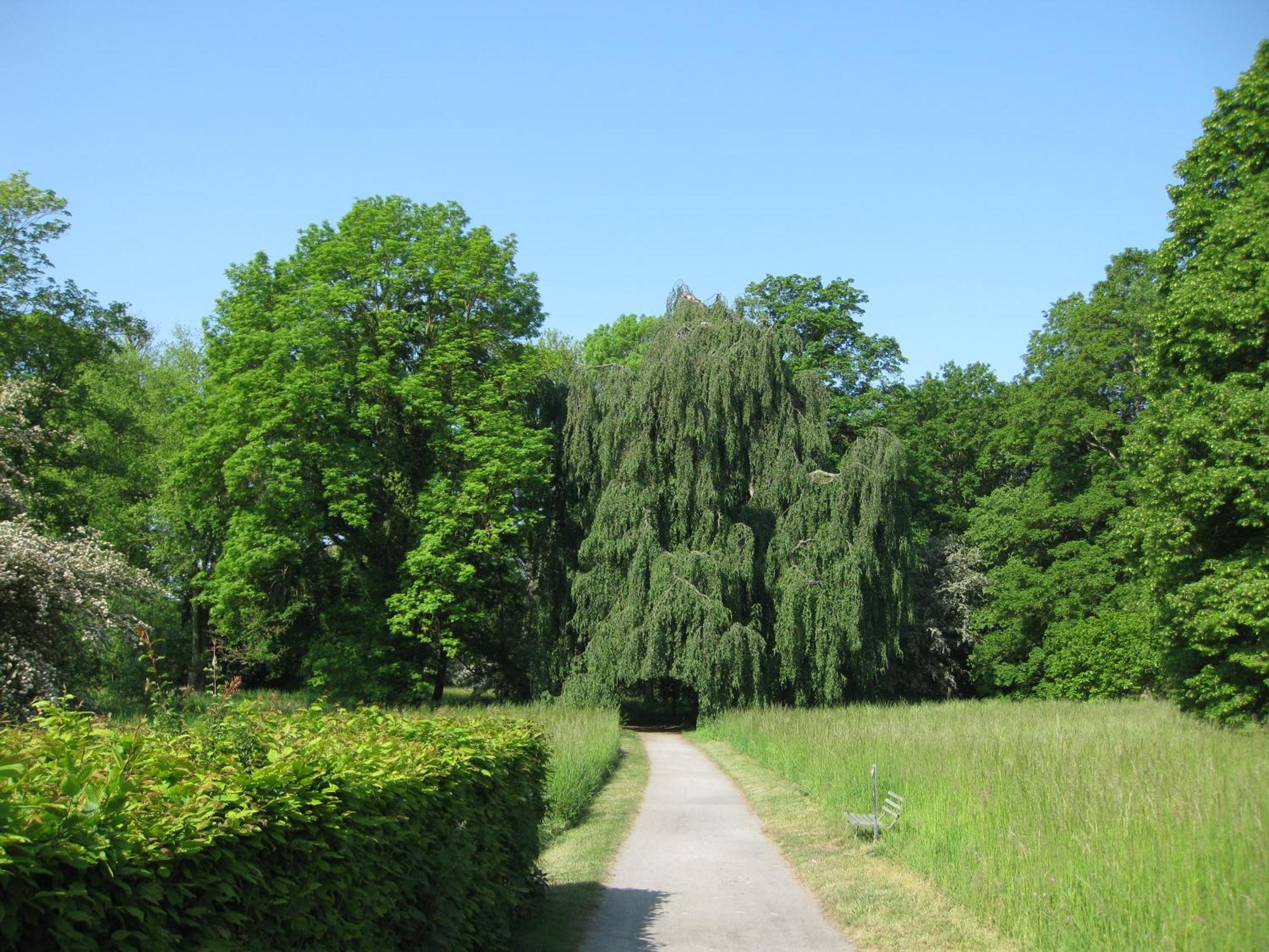 Altstadtapartment Haldensleben Luaran gambar