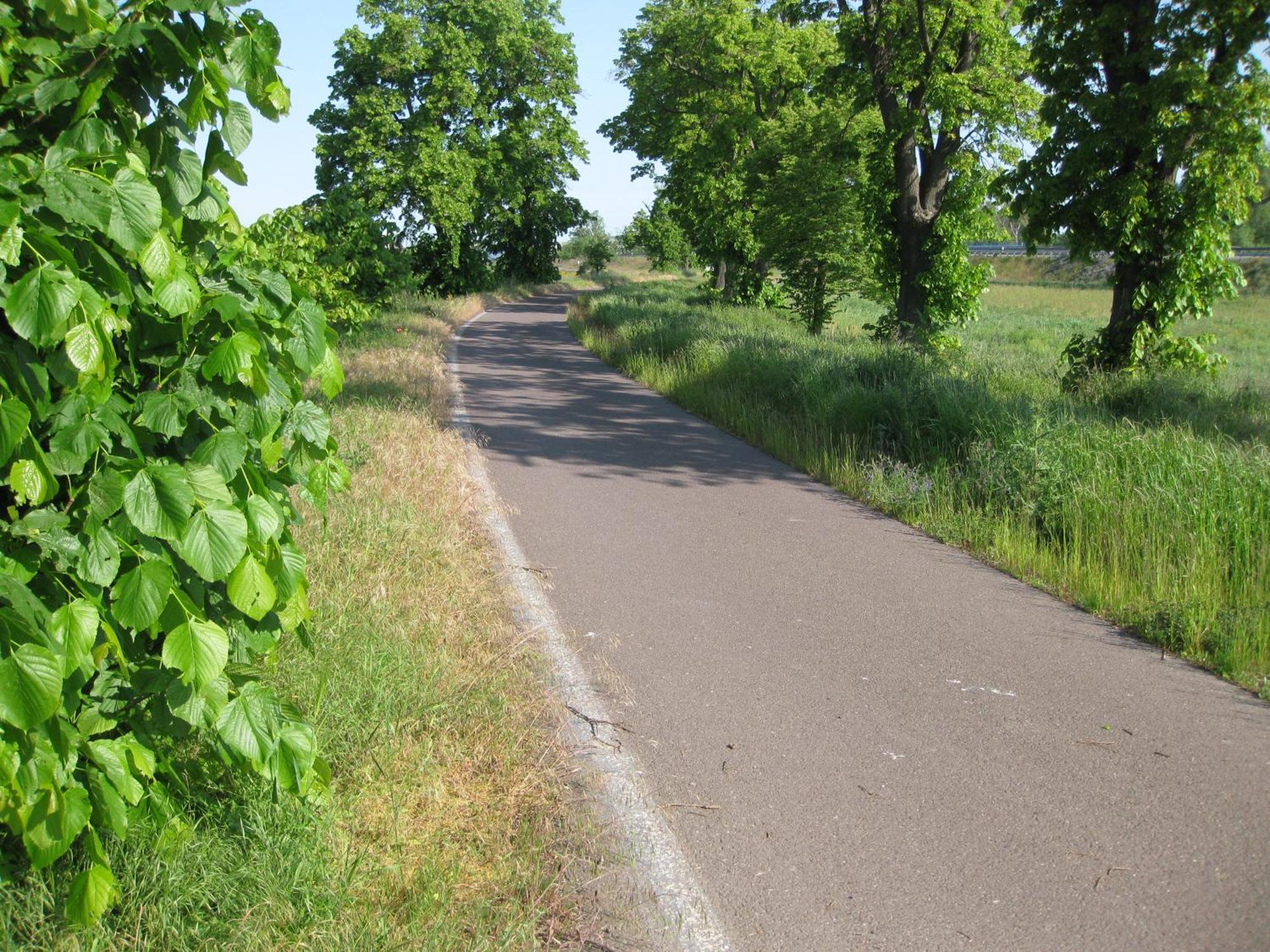Altstadtapartment Haldensleben Luaran gambar